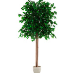 Ficus Artificial MAIA SHOP