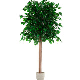 Ficus Artificial MAIA SHOP