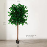 Ficus Artificial MAIA SHOP 190 cm 