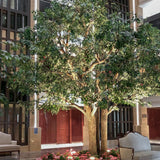 Ficus Artificial Royal 3 m – 30 m Recepcion MAIA SHOP