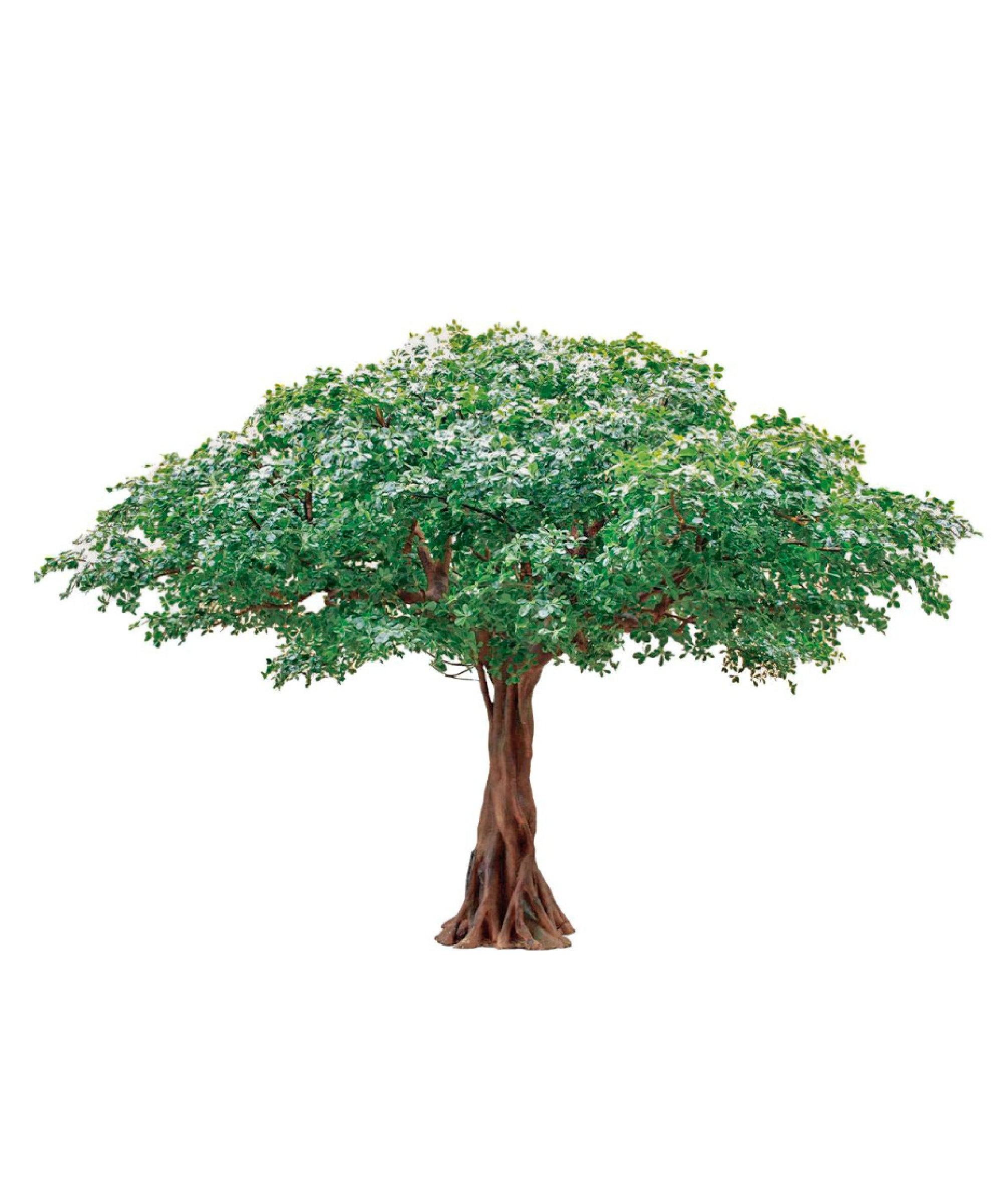 Ficus artificial 3m - 30m MAIA SHOP
