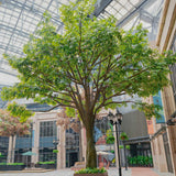 Ficus artificial Tropical 3m - 30m MAIA SHOP Galería Comercial
