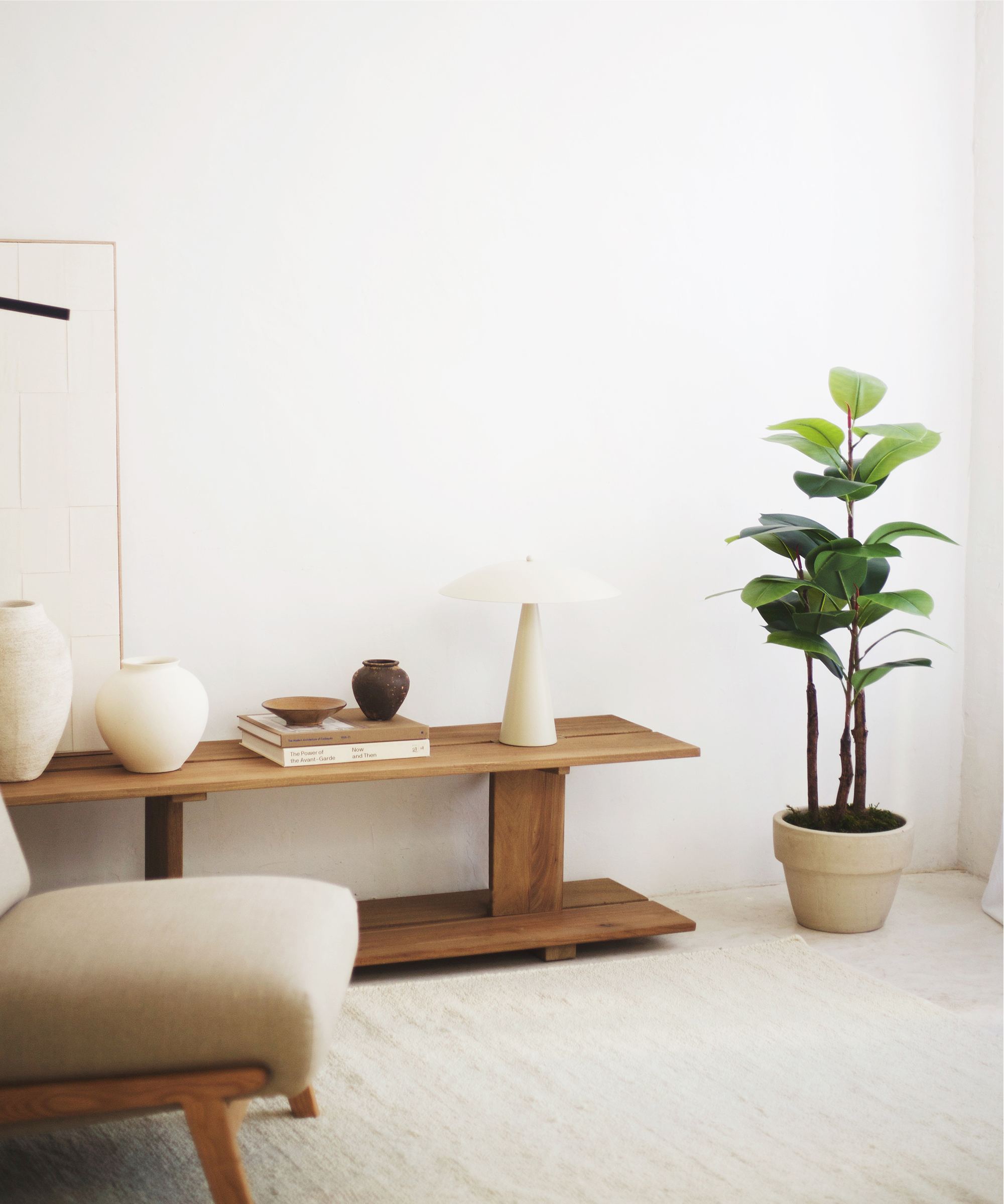 Ficus elastica 120