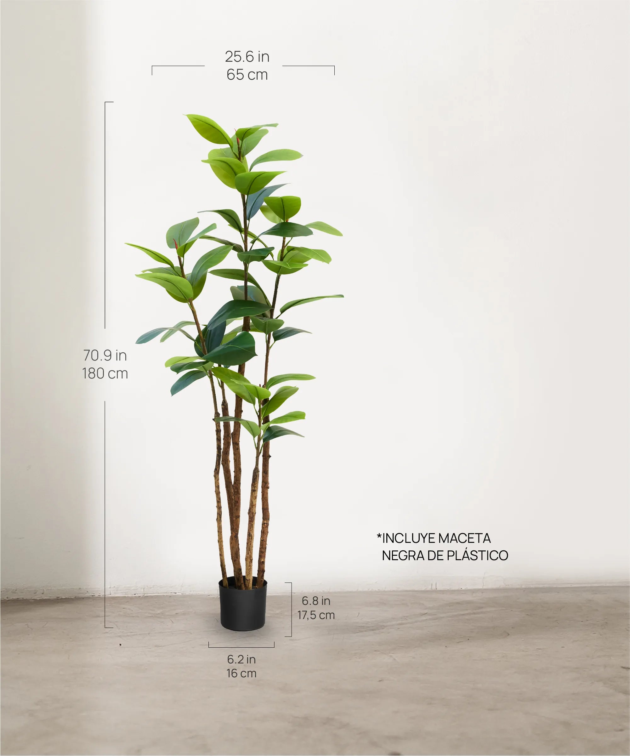 Ficus elástica 180 cm MAIA SHOP 