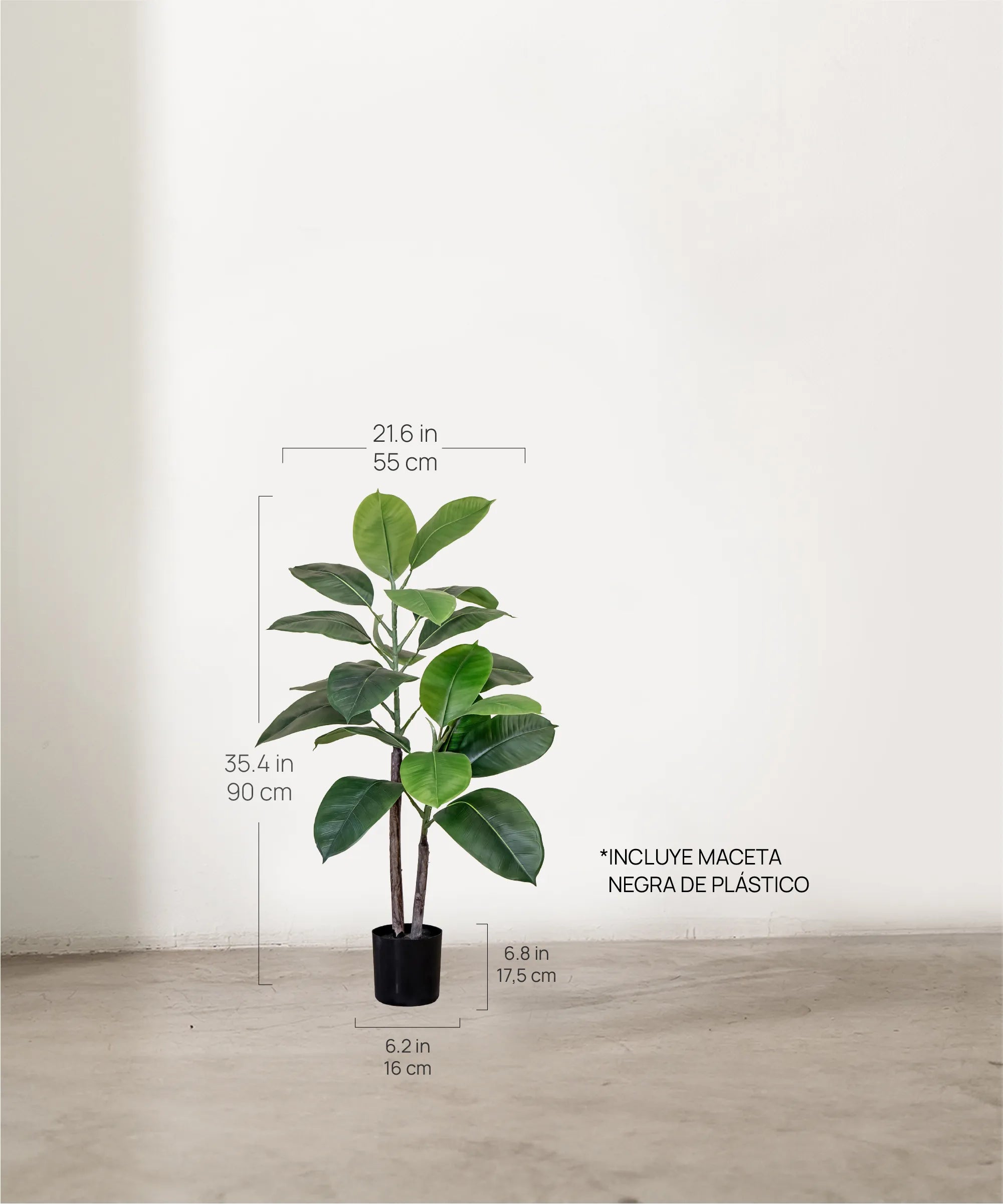 Ficus elástica MAIA SHOP 90 cm 