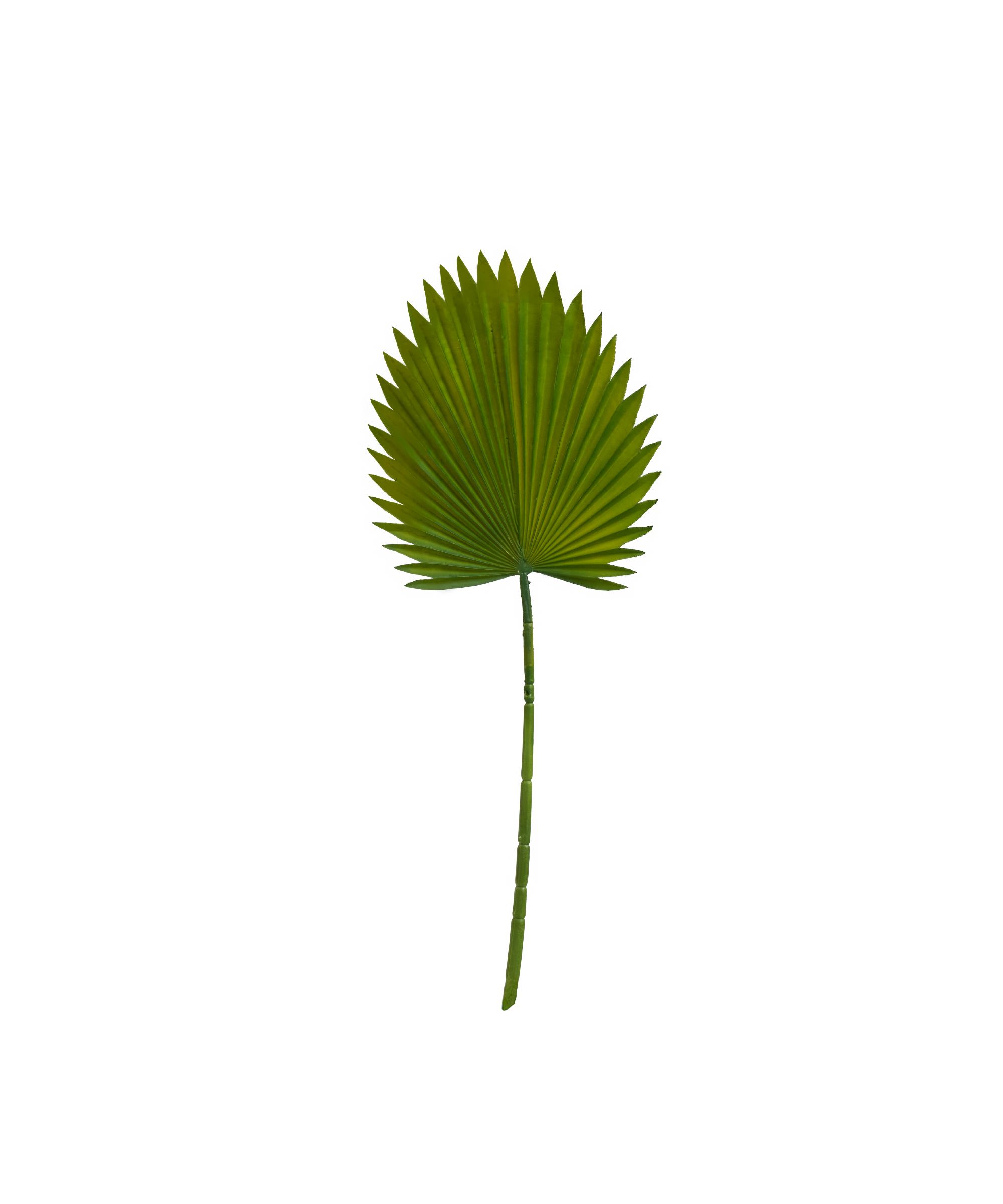 Hoja Artificial Palma MAIA SHOP Verde