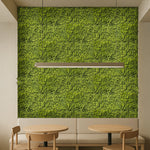 Jardín Vertical Artificial Mira MAIA SHOP Cafeteria