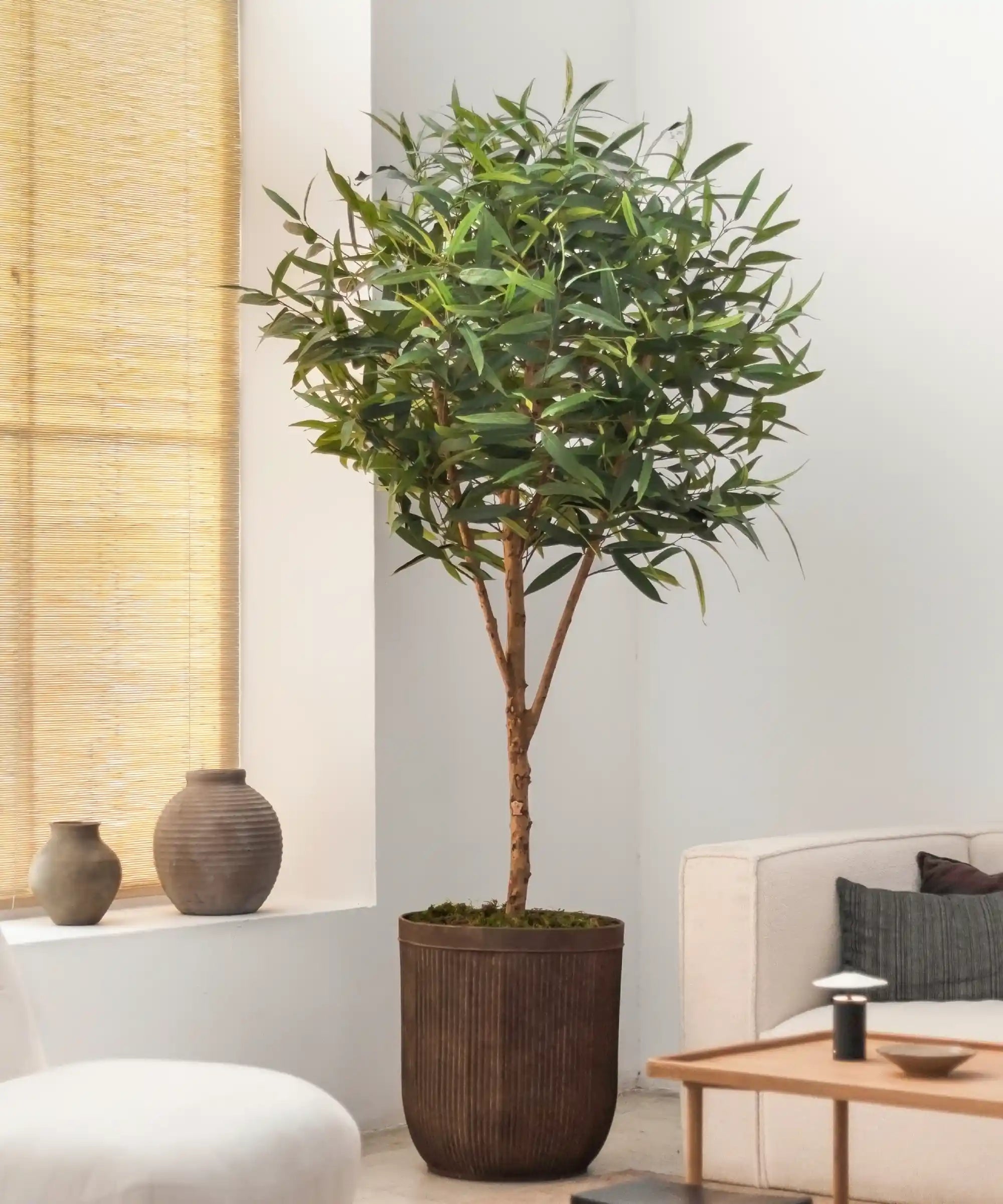 Laurel Artificial 220 cm MAIA SHOP