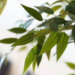 MAIA SHOP Detalle Ficus Artificial 220 cm 