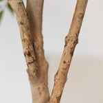 MAIA SHOP Detalle Tronco Ficus Artificial 220 cm 