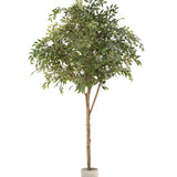 MAIA SHOP Ficus Artificial 220 cm 