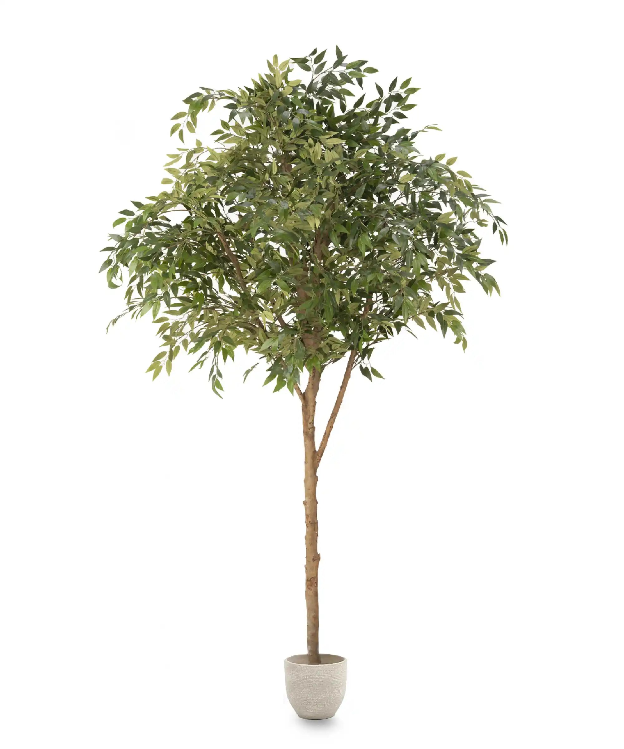 MAIA SHOP Ficus Artificial 220 cm 