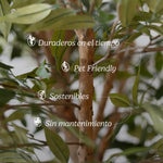 MAIA SHOP Ficus Artificial Caracteristicas
