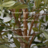 MAIA SHOP Ficus Artificial Caracteristicas
