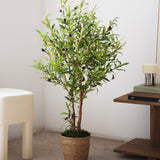 Maceta de Mimbre Lia MAIA SHOP S