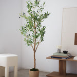 Maceta de Mimbre Siena MAIA SHOP S