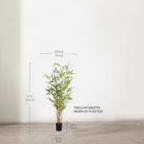 Medida Bambú Savage 120 cm MAIA SHOP