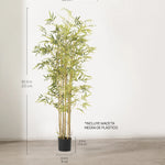 Medida Bambú Savage 210 cm MAIA SHOP