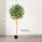 Medida Laurel Artificial 220 cm MAIA SHOP