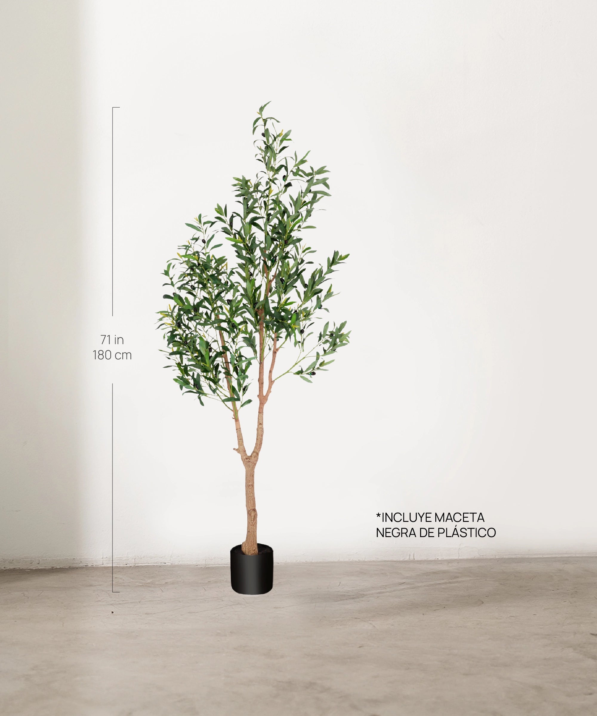 Medida Olivo artificial Moon 180 cm MAIA SHOP