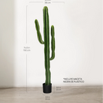 Medidas Cactus Artificial 190 MAIA SHOP