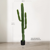 Medidas Cactus Artificial 190 MAIA SHOP