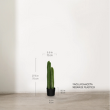 Medidas Cactus Artificial 70 MAIA SHOP 
