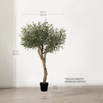 Medidas Olivo Artificial Centennial 180 cm