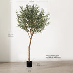 Medidas Olivo Artificial Centennial 220 cm