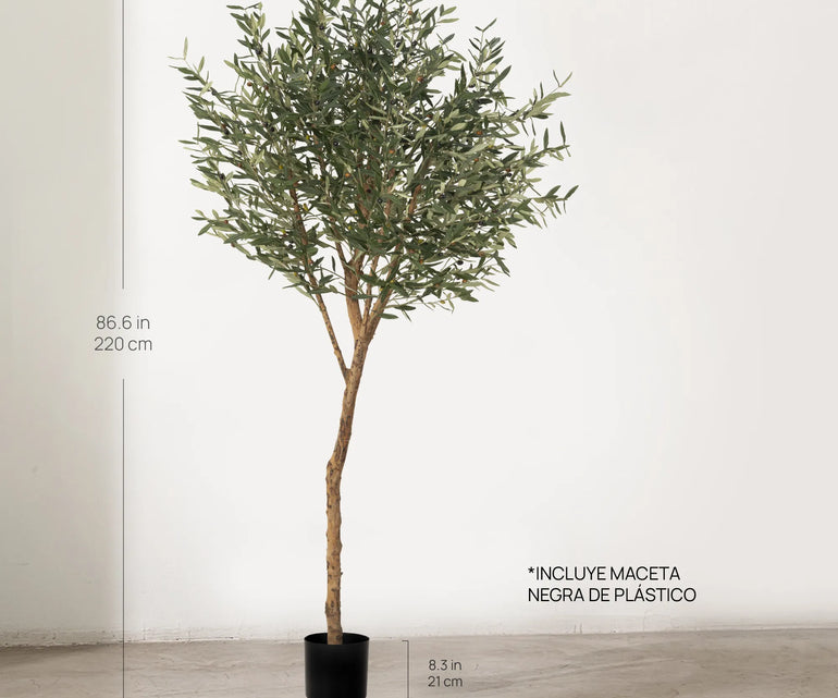 Medidas Olivo Artificial Centennial 220 cm