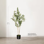 Medidas Olivo artificial Flair 150 cm MAIA SHOP
