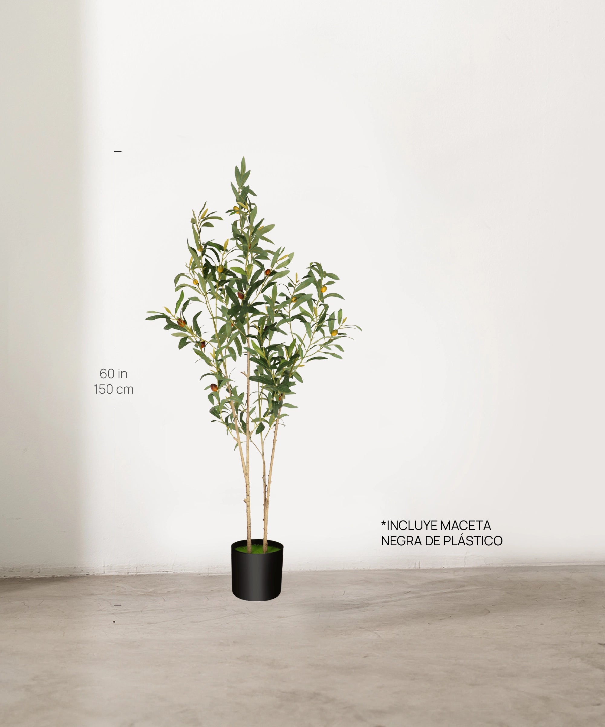 Medidas Olivo artificial Flair 150 cm MAIA SHOP