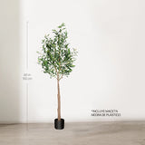 Medidas Olivo artificial Moon 150 cm MAIA SHOP