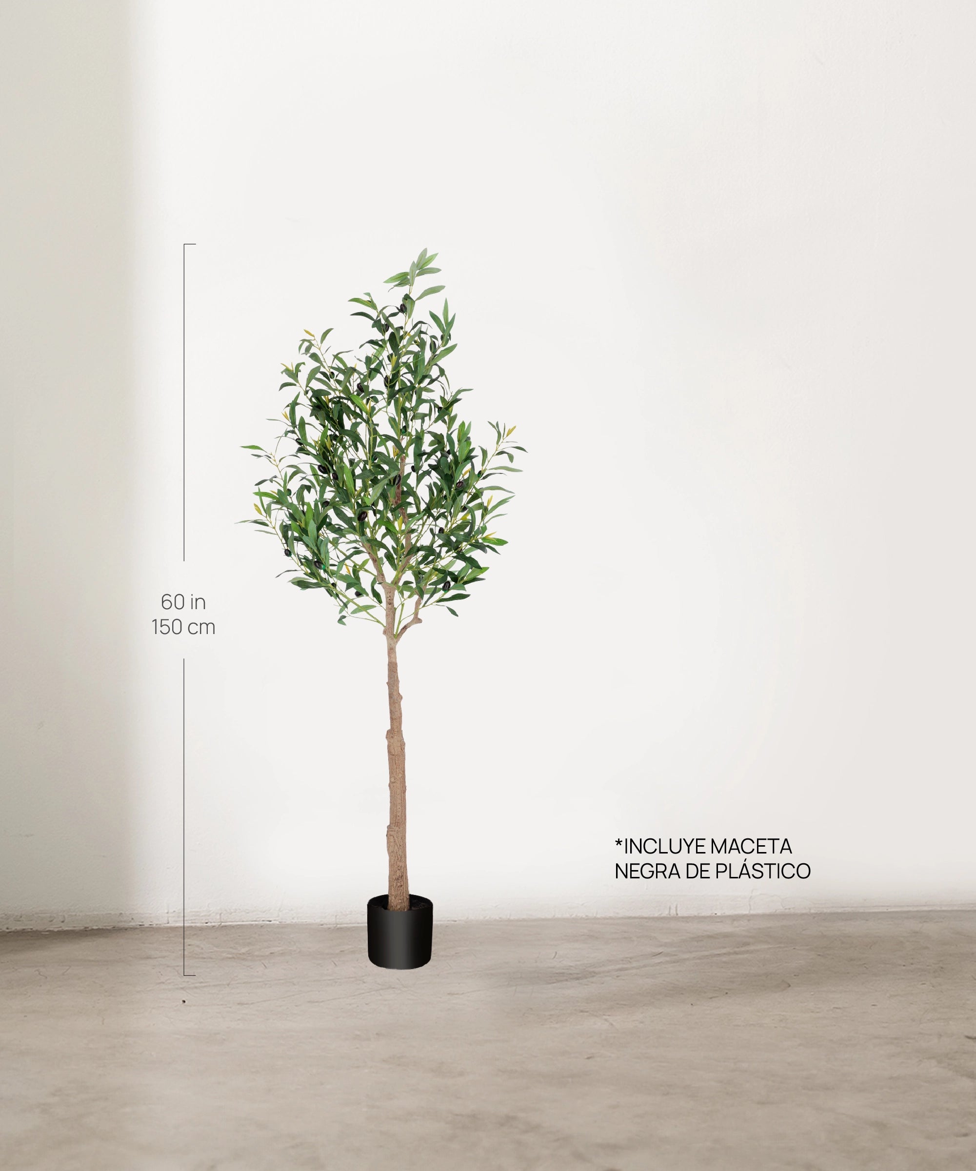 Medidas Olivo artificial Moon 150 cm MAIA SHOP
