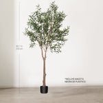 Medidas Olivo artificial Moon 210 cm MAIA SHOP