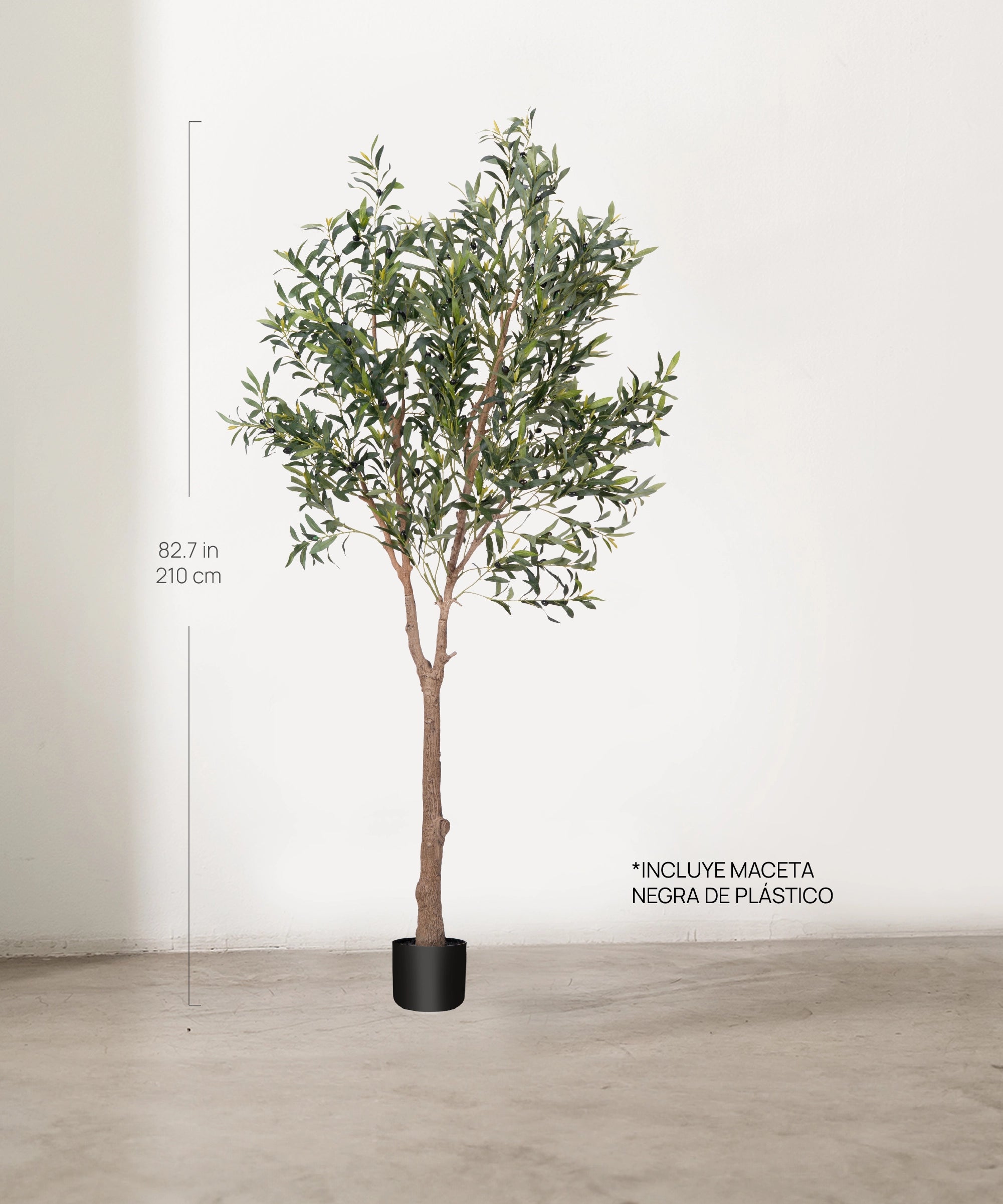 Medidas Olivo artificial Moon 210 cm MAIA SHOP