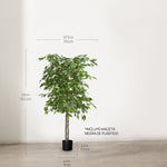 Medidas ficus artificial 150 MAIA SHOP