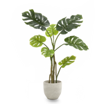 Monstera Artificial 120 MAIA SHOP PNG