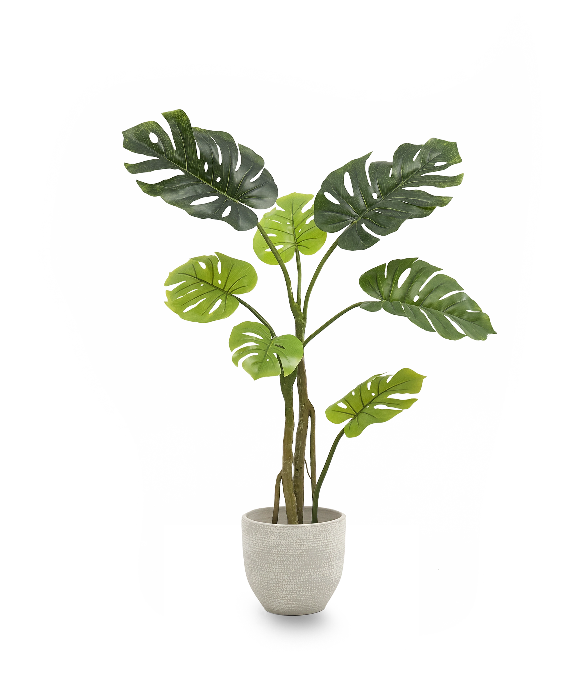 Monstera Artificial 120 MAIA SHOP PNG