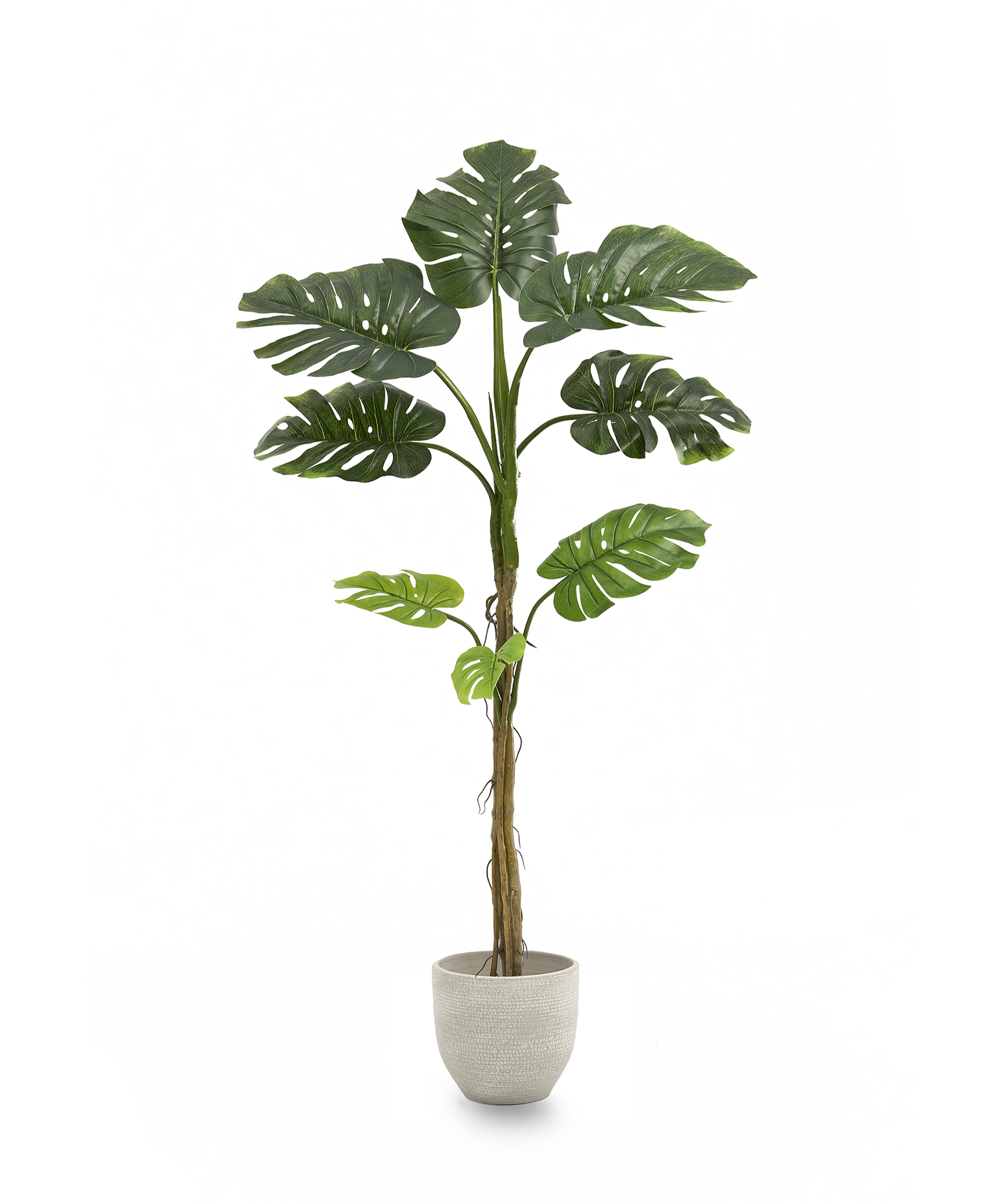 Monstera Artificial 160 MAIA SHOP PNG
