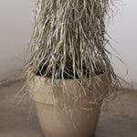 Nolina Artificial MAIA SHOP Detalle Final