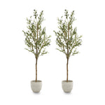 Pack Duo Olivo Minimal 150 cm MAIA SHOP