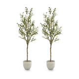 Pack Duo Olivo Minimal 150 cm MAIA SHOP