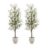 Pack Duo  Olivo Minimal 180 cm MAIA SHOP