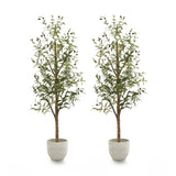 Pack Duo  Olivo Minimal 180 cm MAIA SHOP