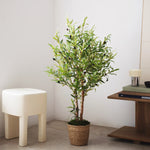 Olivo 105 cm MAIA SHOP