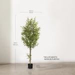 Olivo Artifical 150 cm MAIA SHOP