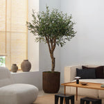 Olivo Artificial Centennial 180cm