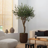 Olivo Artificial Centennial 180cm