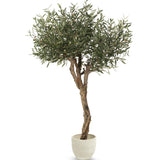 Olivo Artificial Centennial 180cm MAIA SHOP